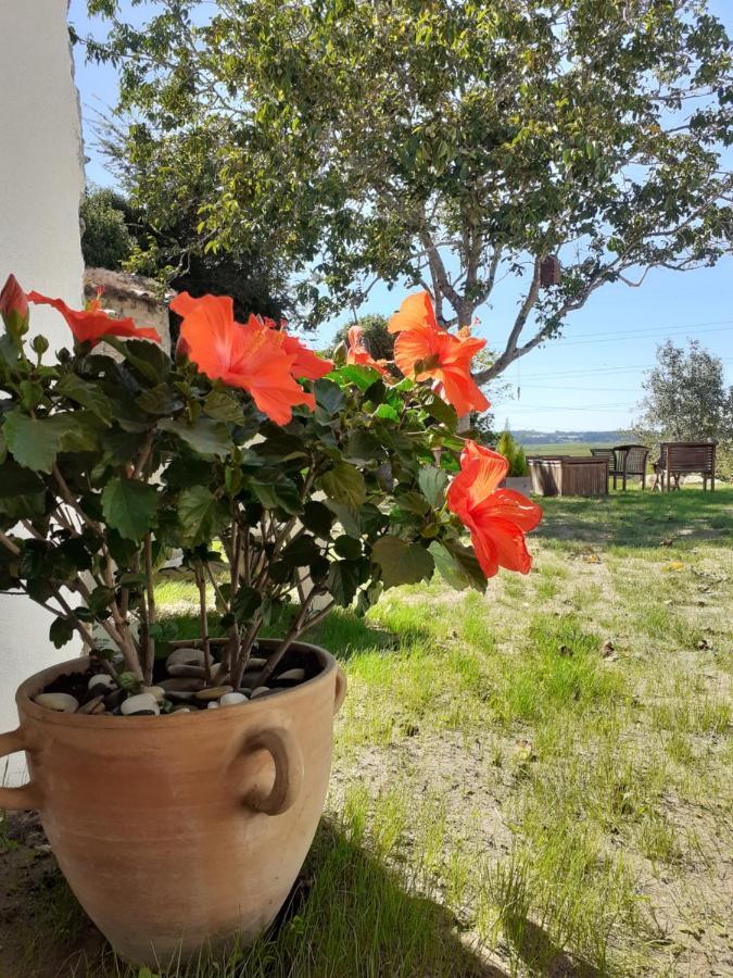 ***** Quinta Do Por Do Sol ***** Διαμέρισμα Figueira da Foz Εξωτερικό φωτογραφία